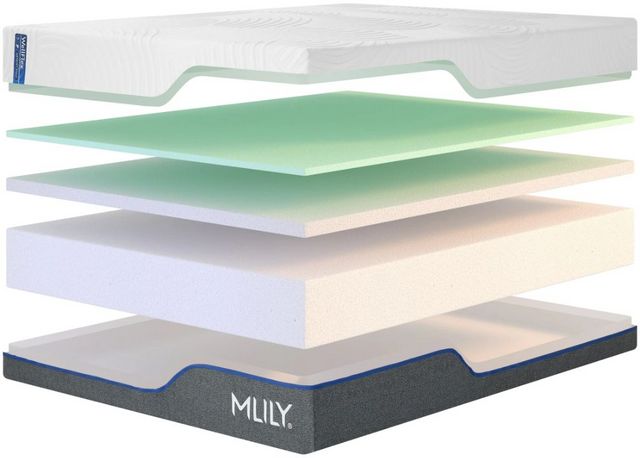 MLILY® Wellflex 1.0 Memory Foam 12" Firm Tight Top Queen Mattress in a Box-2
