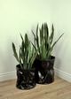Le Present Paperbag Black 14" Planter-4