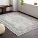 Surya Aberdine Blue 2'x3' Throw Rug-5