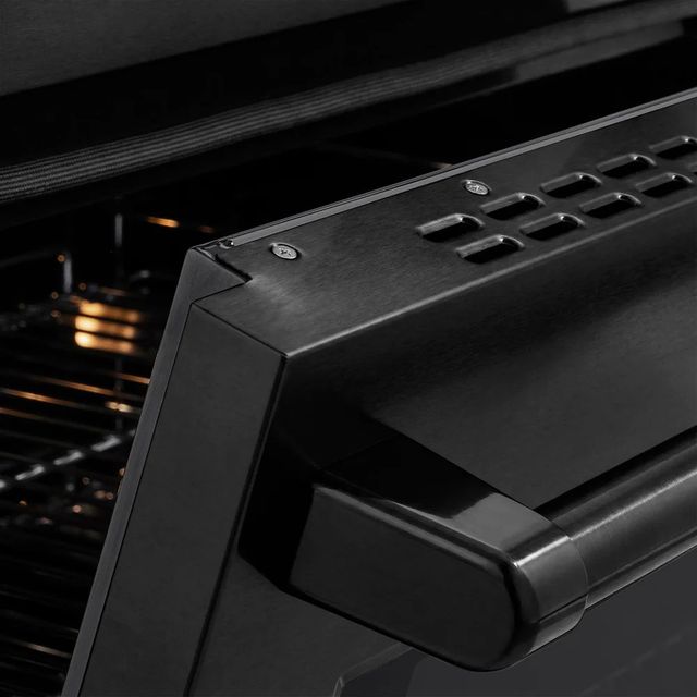 ZLINE Paramount 24" Black Stainless Steel Pro Style Induction Range-3