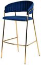 VIG Furniture Modrest Brandy 2-Piece Blue/Gold Bar Stool Set-2