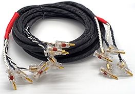 Totem Acoustics Tress 10 ft. Bi-Wire Speaker Cables-0