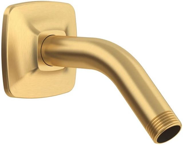 American Standard Townsend® Brushed Cool Sunrise Showerhead Arm and Flange-0