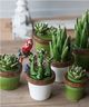A & B Home Brown/Green 5.5" Ceramics Plant Decorative Object-3