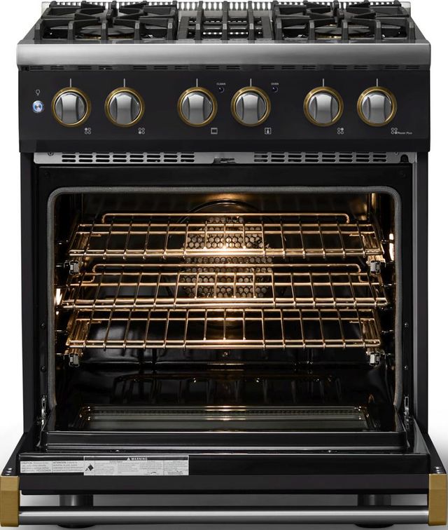 Viking® 5 Series 30" Onyx Pro Style Dual Fuel (LP) Range with Brushed Brass Trim-1
