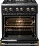 Viking® 5 Series 30" Onyx Pro Style Dual Fuel (LP) Range with Brushed Brass Trim-1