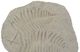 A & B Home Off-White Fern Fossil Accent-1