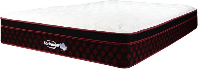 Springwall® Comfort Pockets® 12" Wrapped Coil Medium Euro Top Queen Mattress-0