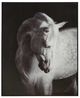 Signature Design by Ashley® Archerwick Black/White Wall Art-0