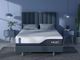 MLILY® ChiroPro 1.0 Hybrid 13" Firm Tight Top California King Mattress in a Box-1