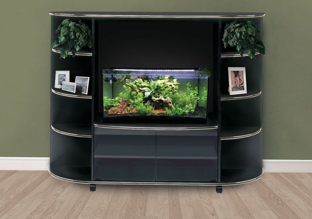 Monarch Specialties Inc. Black/Gold Bookcase-0