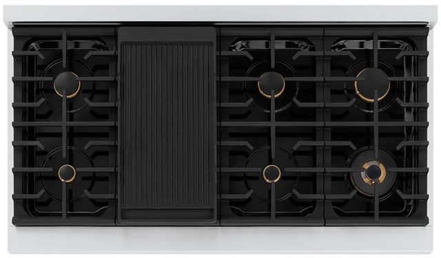ZLINE Autograph Edition Paramount 48" 6.7 cu. ft. Stainless Steel and Champagne Bronze Helix Handles and Knob Accents Double Oven Dual Fuel Range with 8 Burner Gas Cooktop-2