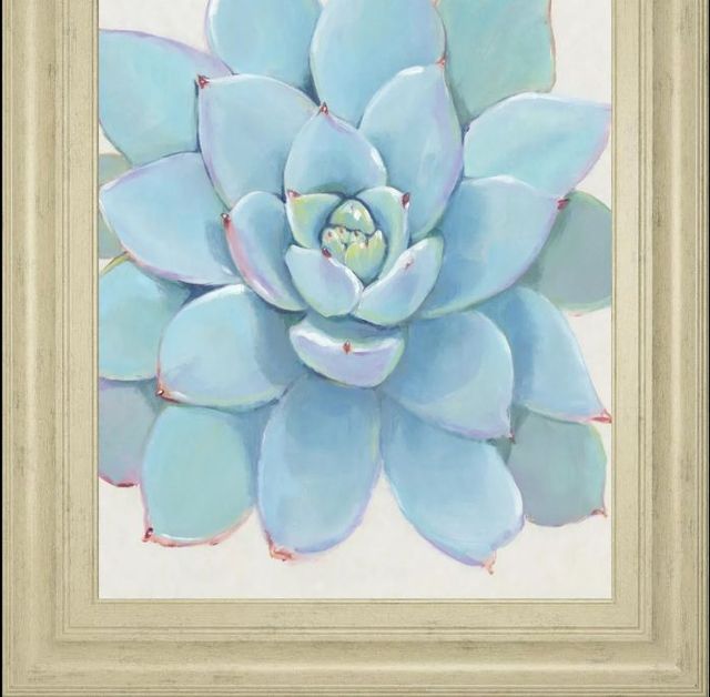 Classy Art Pastel Succulent I by Tim OToole Wall Art-1
