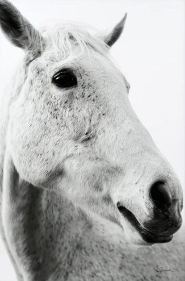 Stylecraft Black/White Wall Art-1