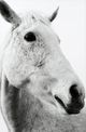 Stylecraft Black/White Wall Art-1