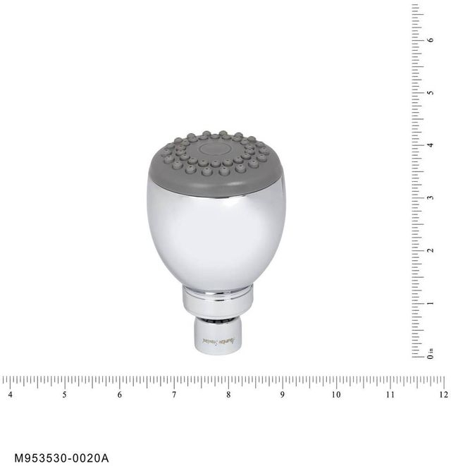American Standard Polished Chrome 2 Functions Showerhead-1