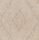 Surya Eagean Beige 4'x6' Area Rug-5