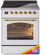Custom RAL Color