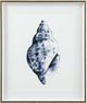 Bassett Mirror Quiet Conchin Indigo II Blue Wall Art-0