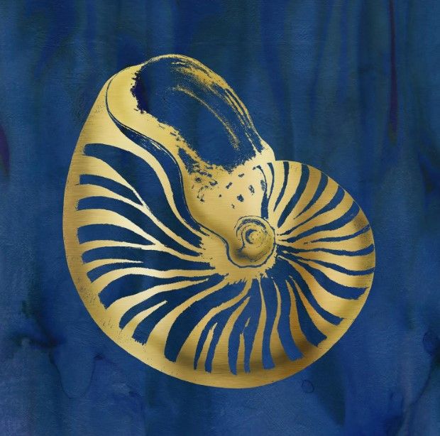 Classy Art Indigo Sea Treasure V by Carol Robinson Wall Art-0