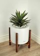Le Present Agave Green 25.5" Faux Botanical-3