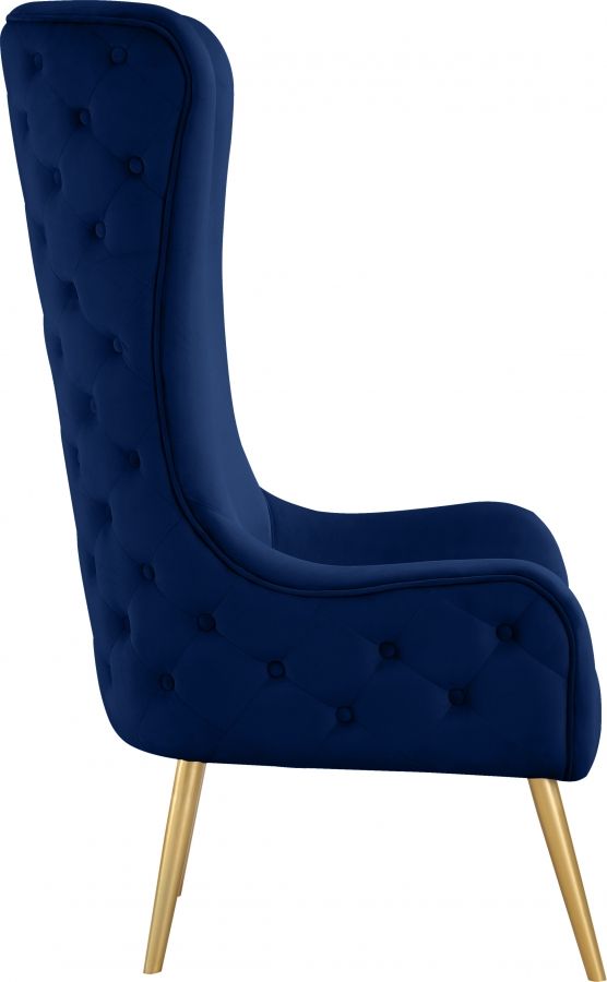 Meridian Furniture Alexander Navy Velvet Accent Chair-2