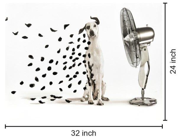 Classy Living Breezy Dalmatian Whimsy Wall Art-2