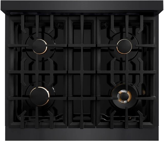 ZLINE Classic Autograph Edition 30" Black Stainless Steel Pro Style Dual Fuel Range with Polished Gold Accents-3