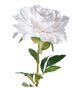 A & B Home White Peony Stem-2