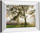 Classy Living Lee Frost Morning Calm Mirror Framed Wall Art-3