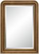 Renwil® Risian Gold-Bronze Accent Mirror-0