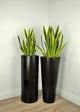 Le Present Duo Black 36" Cylinder Planter-5