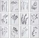 Uttermost® by Grace Feyock Contemporary Botanicals 12-Piece Monochromatic Framed Prints-0