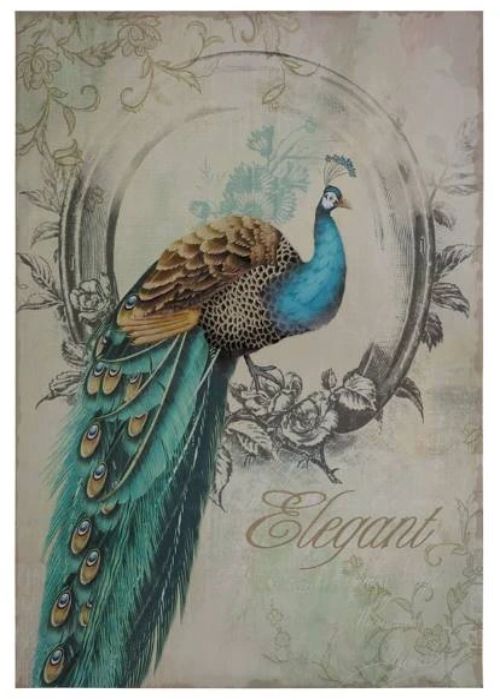 YHD Peacock Poise I Wall Art-0