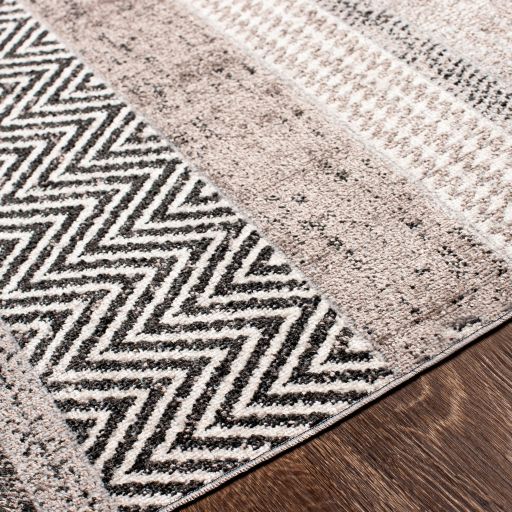 Surya Lavadora Multi-Colored 8'x10' Area Rug-2
