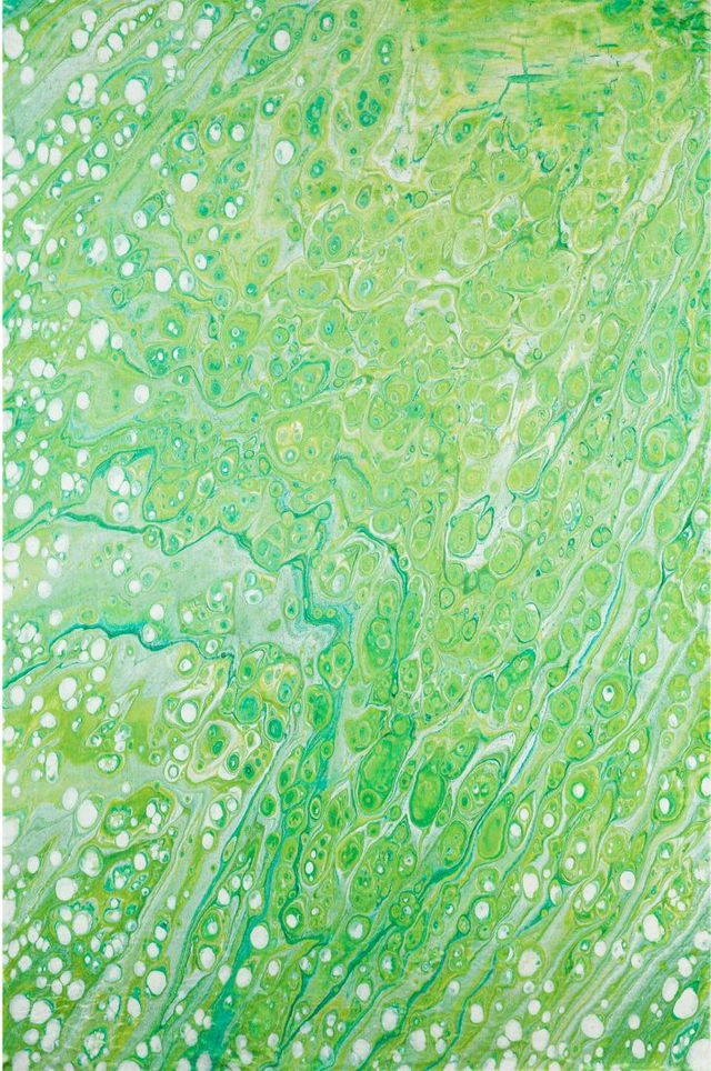 Dalyn™ Rug Company Kikiamo KK5 Lime-In 5'x8' Area Rug-0