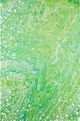 Dalyn™ Rug Company Kikiamo KK5 Lime-In 5'x8' Area Rug-0