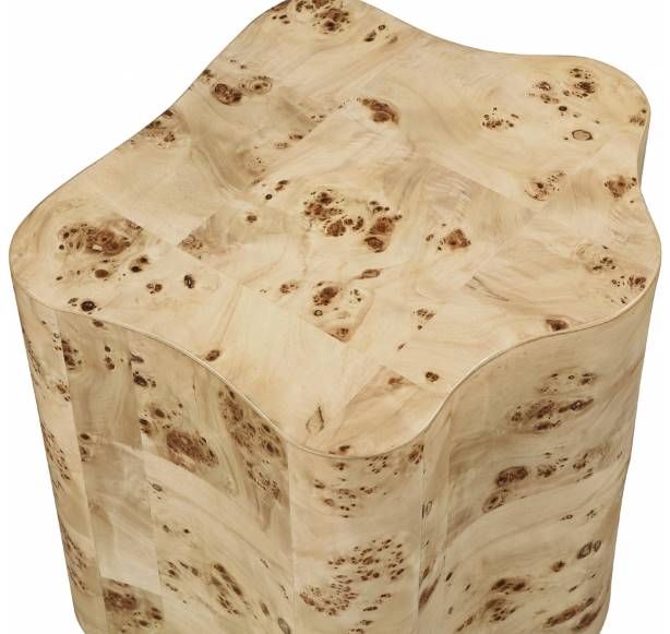 Meridian Furniture Zaire Burl End Table-4