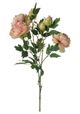 A & B Home Peach Peony-0
