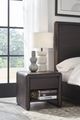 Modus Furniture Xolani Jaguar 1-Drawer Nightstand-1