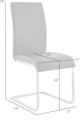 Armen Living Amanda 2-Piece Black/Chrome Side Chair Set-3