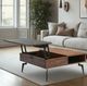 Armen Living Zola Gray/Walnut Lift-Top Coffee Table with Black Base-1