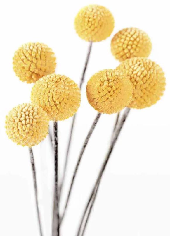 Classy Art Bulb 2 Wall Art-1