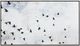Renwil® Everren Paz Wall Art-0