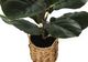 Monarch Specialties Inc. Green/Natural 28" Tall Artificial Potted Fiddle Tree-1