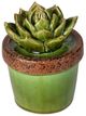 A & B Home Brown/Green 5.5" Ceramics Plant Decorative Object-1