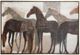 Stylecraft Norman Wyatt Home Shadow Steeds Wall Art-0