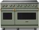 Viking® 5 Series 48" Eucalyptus Pro Style Induction Range with Brushed Brass Trim-0