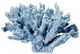 A & B Home Blue Faux Coral Decorative Object-1