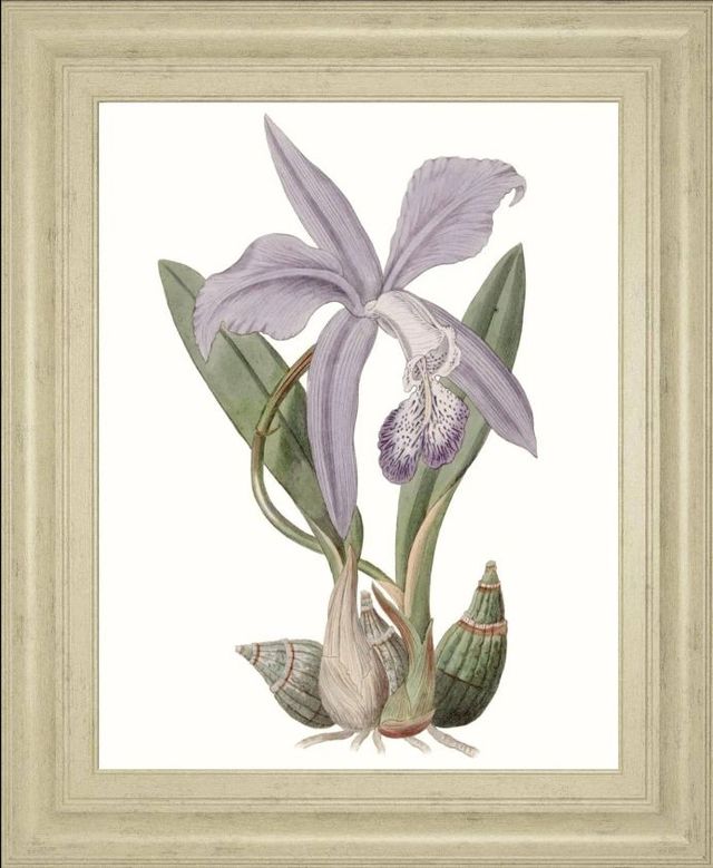 Classy Art Lavender Beauties IV by Edwards Wall Art-0
